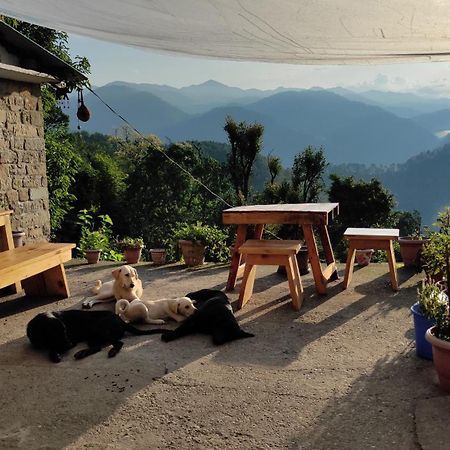 Vista Hostel Jeolikote, Nainital Patwa Dunga Bilik gambar