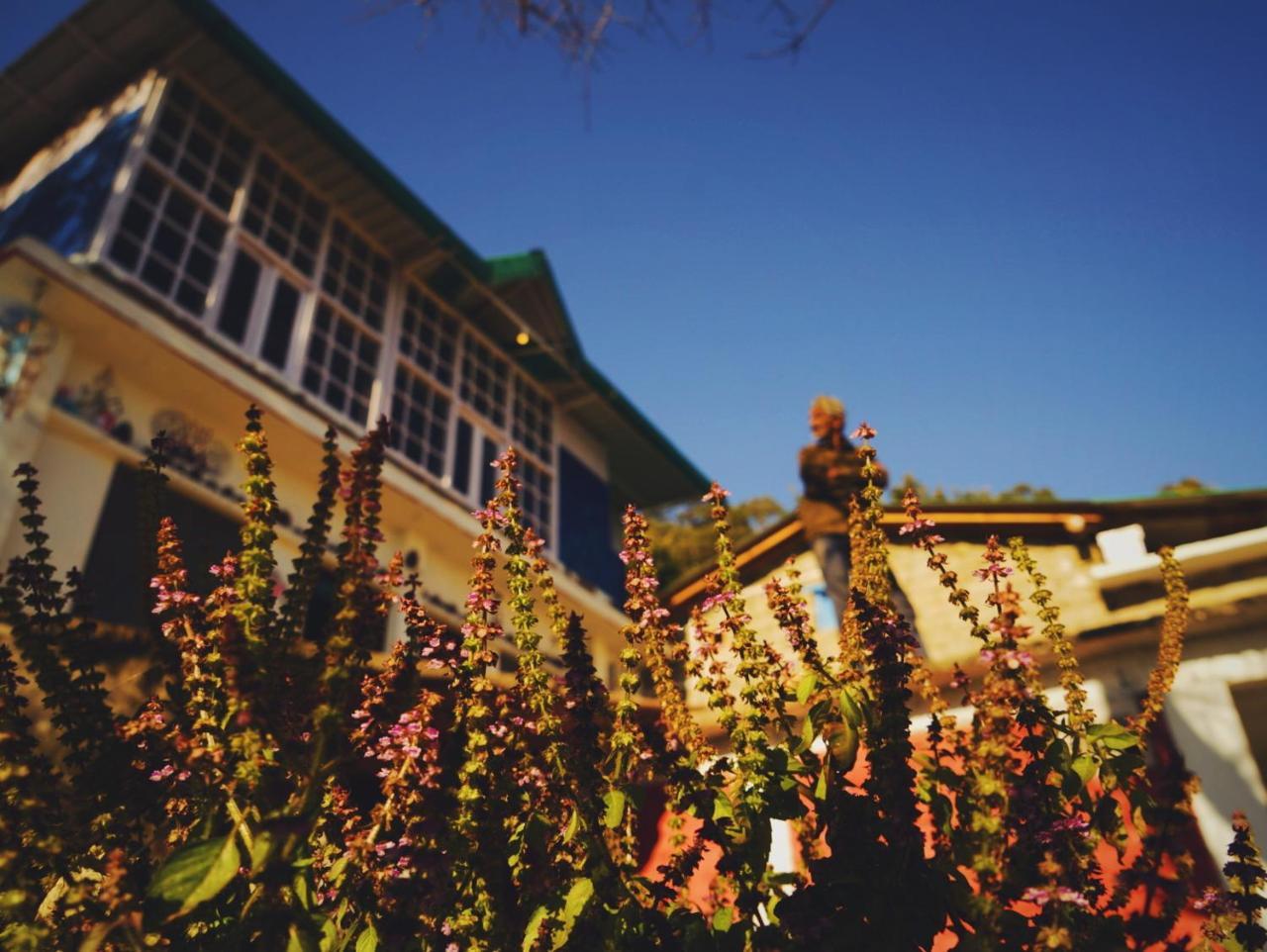Vista Hostel Jeolikote, Nainital Patwa Dunga Luaran gambar